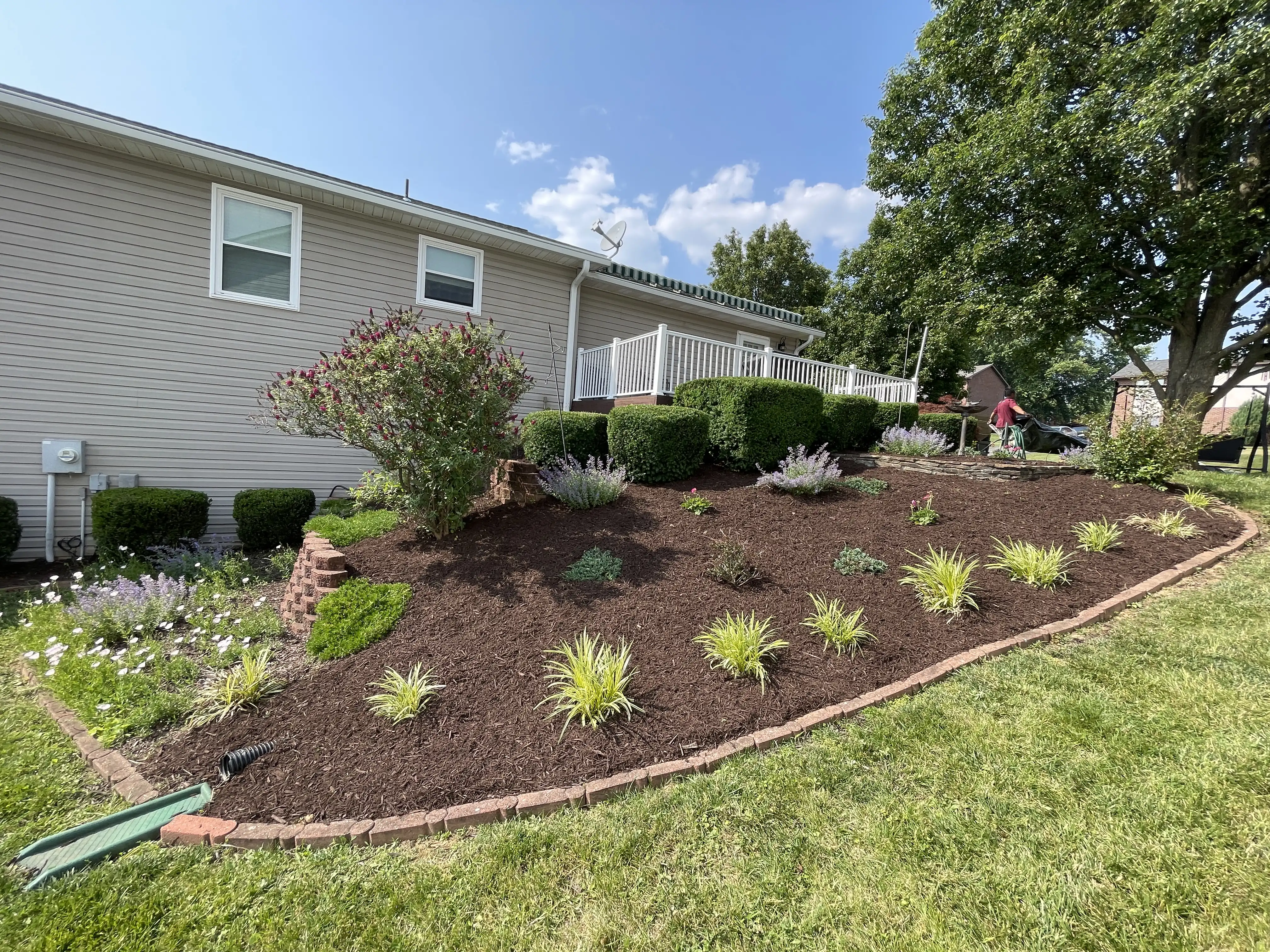 Professionally landscaped yard with accent lighting highlights