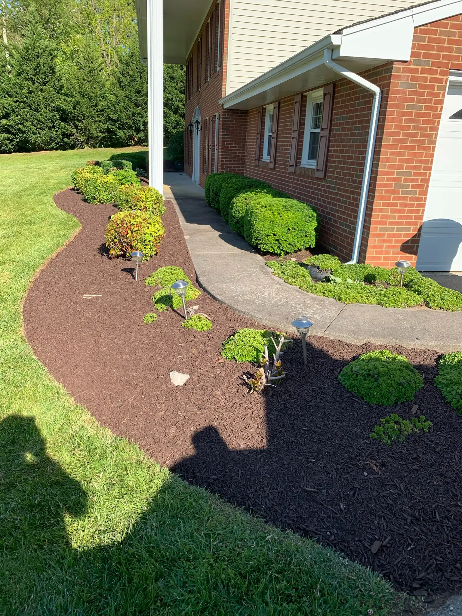 Professional landscape planting with mulched beds