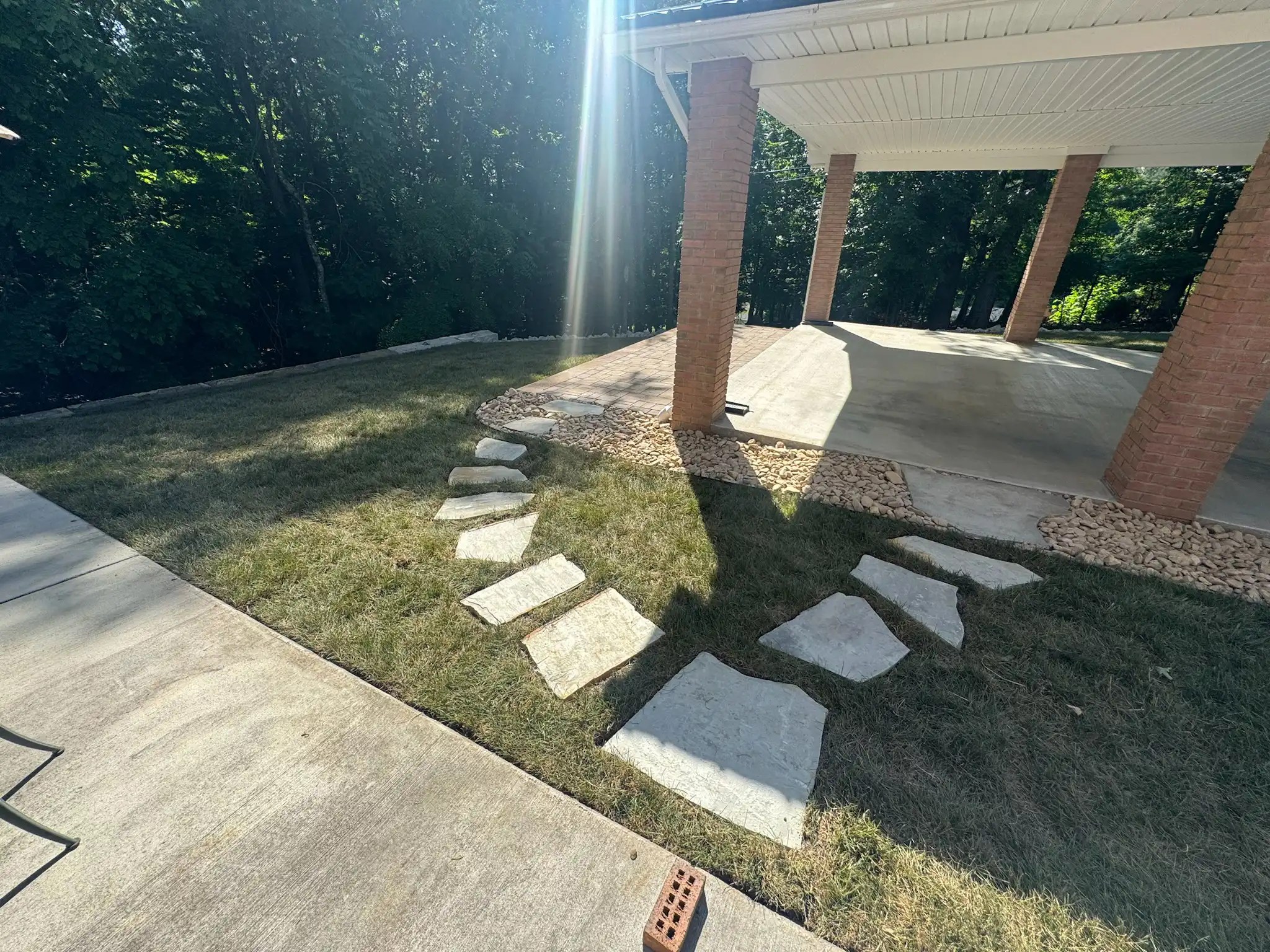 Newly planted shrubs and groundcover along a residential walkway