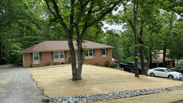 Downspout and roof water management